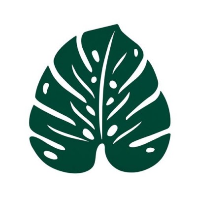ENVIE D'AILLEURS DESSOUS DE PLAT MONSTERA 24 X 22 CM Vert...