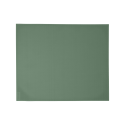 copy of BASICS SET DE TABLE 45 X 35 CM Cactus
