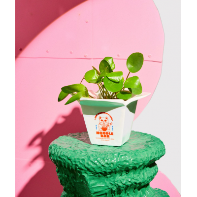 VASE NOODLE / NOUILLE / RAMEN