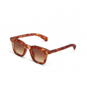 SUNGLASSES - FIRENZE - SAHARA HAVANA - MARRON